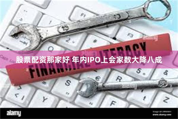 股票配资那家好 年内IPO上会家数大降八成