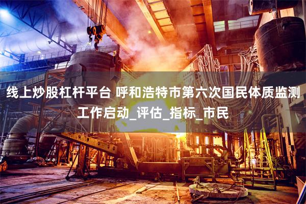 线上炒股杠杆平台 呼和浩特市第六次国民体质监测工作启动_评估_指标_市民