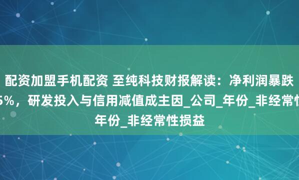 配资加盟手机配资 至纯科技财报解读：净利润暴跌93.75%，研发投入与信用减值成主因_公司_年份_非经常性损益