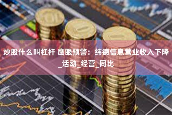 炒股什么叫杠杆 鹰眼预警：纬德信息营业收入下降_活动_经营_同比