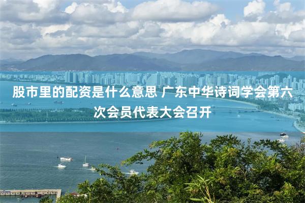 股市里的配资是什么意思 广东中华诗词学会第六次会员代表大会召开