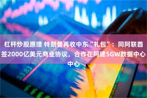 杠杆炒股原理 特朗普再收中东“礼包”：同阿联酋签2000亿美元商业协议，合作在阿建5GW数据中心