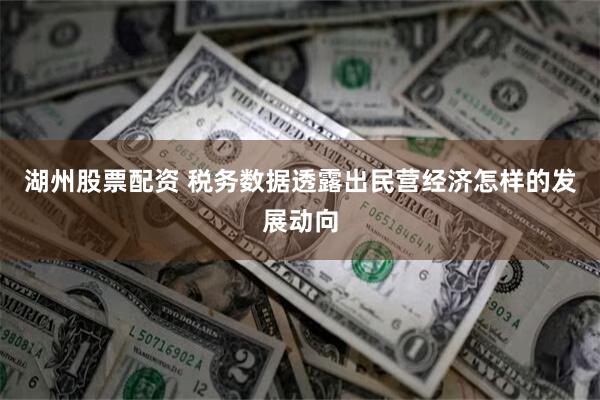 湖州股票配资 税务数据透露出民营经济怎样的发展动向