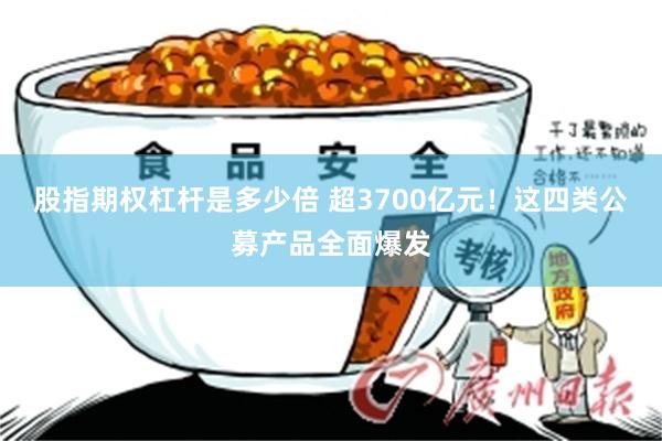 股指期权杠杆是多少倍 超3700亿元！这四类公募产品全面爆发