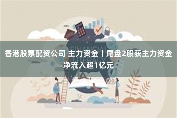 香港股票配资公司 主力资金丨尾盘2股获主力资金净流入超1亿元