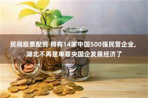 民间股票配资 拥有14家中国500强民营企业, 湖北不再是单靠央国企发展经济了