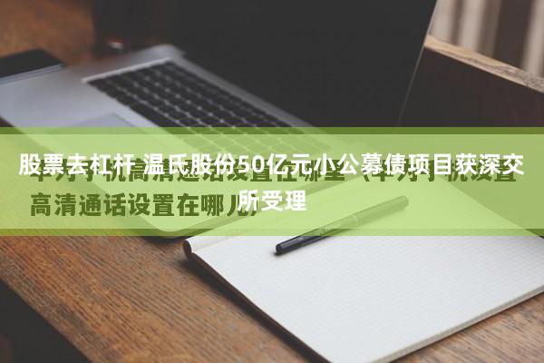 股票去杠杆 温氏股份50亿元小公募债项目获深交所受理