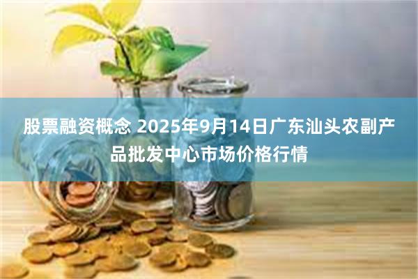 股票融资概念 2025年9月14日广东汕头农副产品批发中心市场价格行情